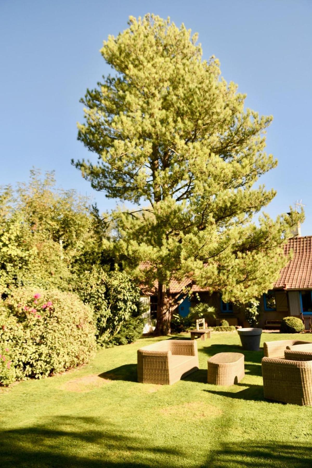 Villa De Charme Entre Deux Baies Rue Kültér fotó